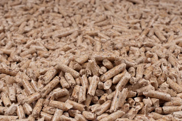 Pellets-biomasa — Foto de Stock