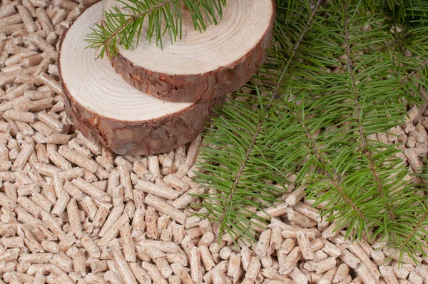 Pellets- biomass — Stock Photo, Image