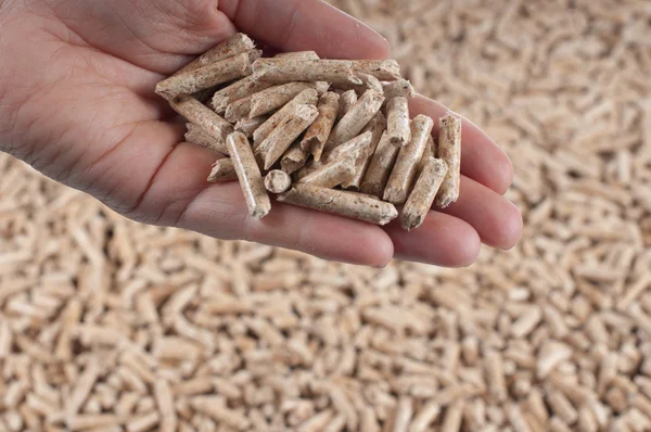 Pellets- biomass — Stock Photo, Image