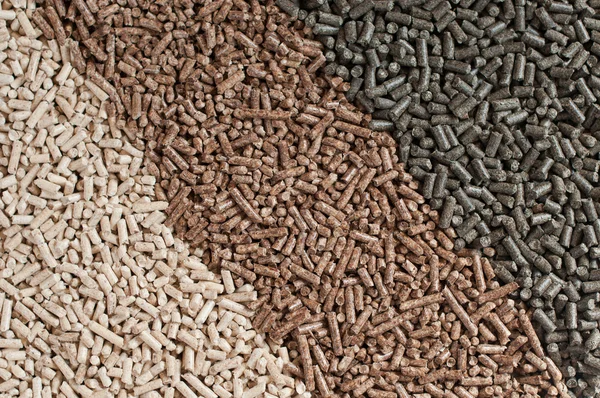 Pellets-biomassa — Stockfoto