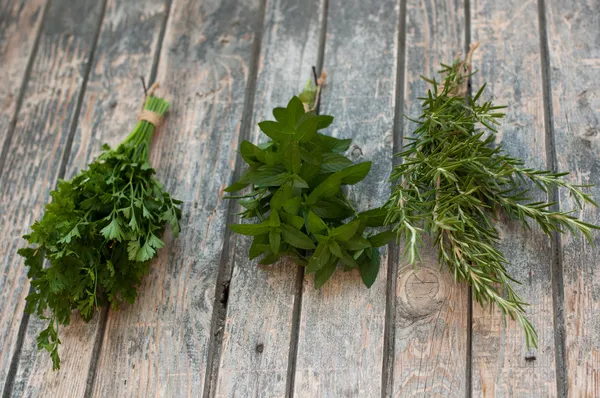 Spices- parsley,mint, rosemary — Stock Photo, Image