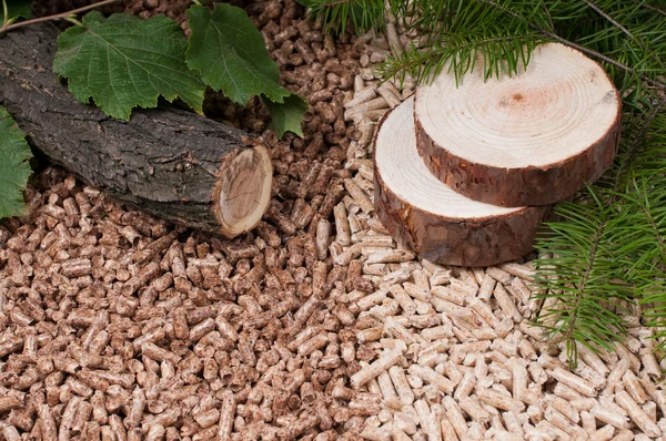 Pine and oak pellets — Stock Photo, Image