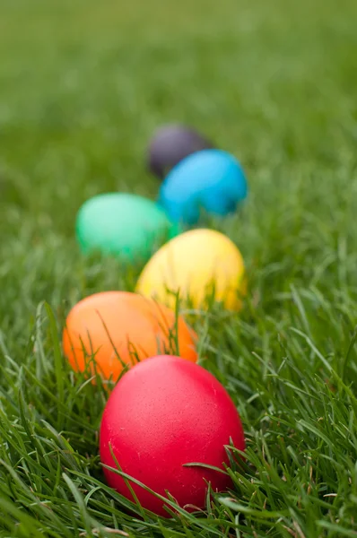 Oeufs de Pâques dans une rangée — Photo