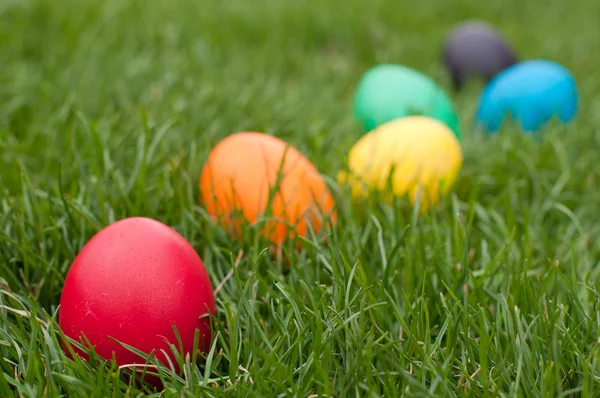 Easter eggs in a row — Stock Photo, Image