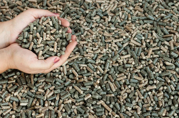 Pellets aus Kiefer, Sonnenblume und Eiche — Stockfoto