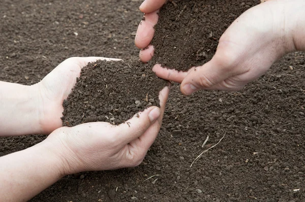 Soil in hands — Stock Photo, Image