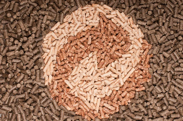 Pellet biomassa — Foto Stock