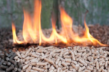 pelllets-biyokütle