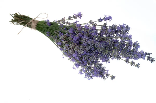 Bouquet of Lavender — Stock Photo, Image