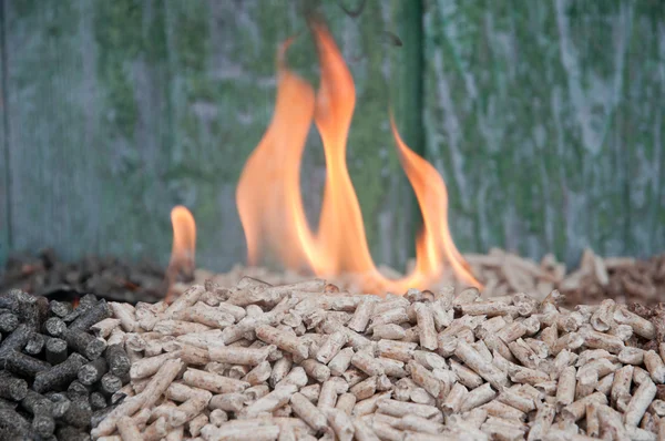 Pelllets- biomass — Stock Photo, Image