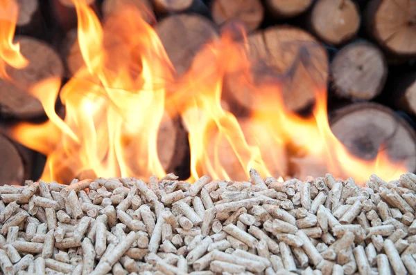 Pelllets- biomass — Stock Photo, Image