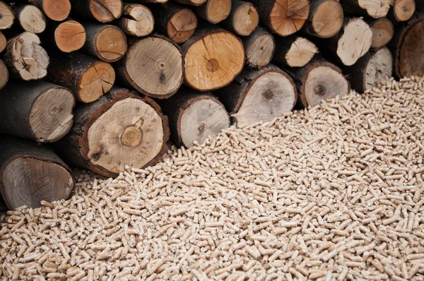 Pelllets biomasse — Photo