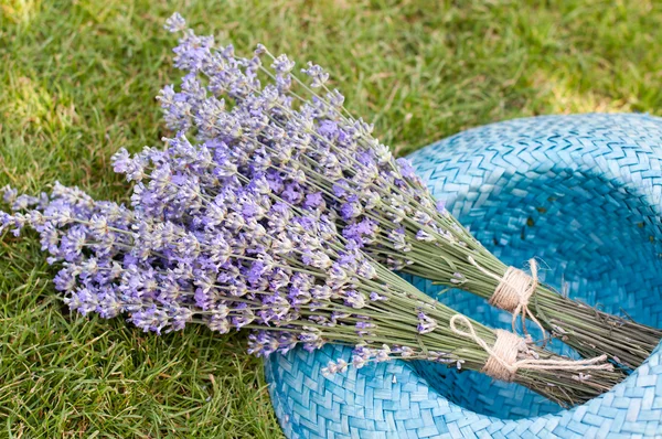 Laventer in hoed — Stockfoto