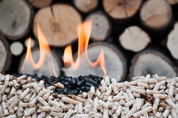 Granulki biomasa — Zdjęcie stockowe