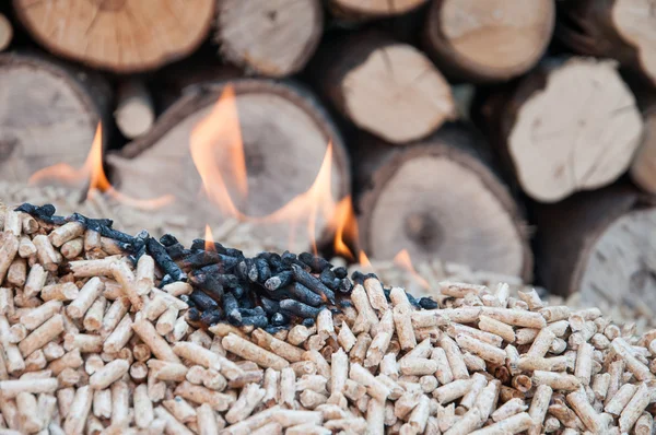 Pellets- Biomass — Stock Photo, Image