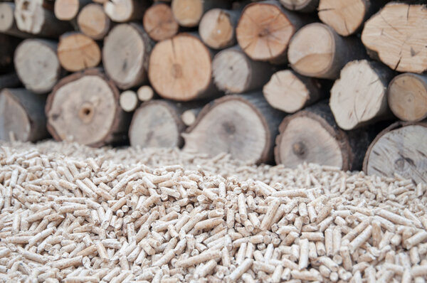 Пеллетс-биомасса
