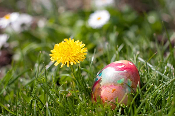 Easter Hunt — Stock Photo, Image