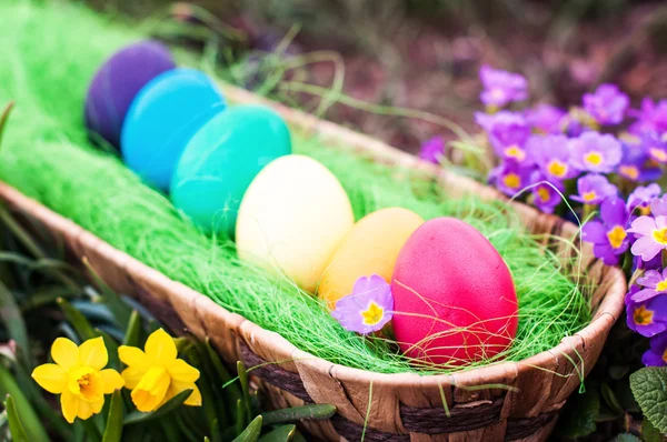 Easter Hunt — Stock Photo, Image