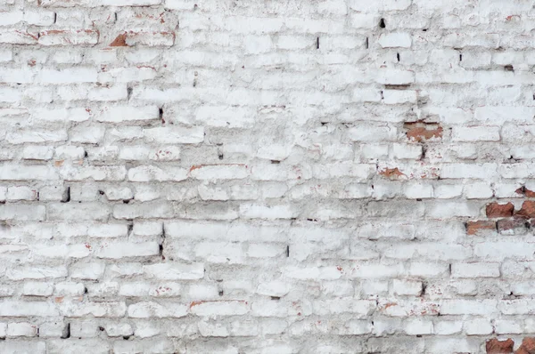 흰 벽돌 — 스톡 사진