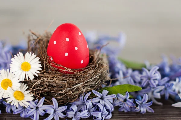 Huevo de Pascua rojo en un nido —  Fotos de Stock