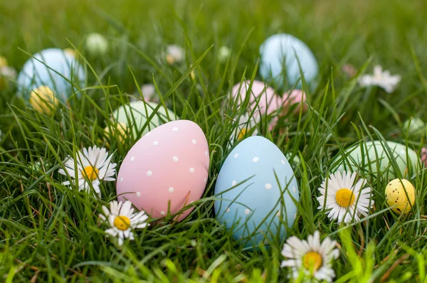 Easter Hunt — Stock Photo, Image