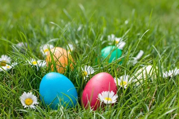 Easter Hunt — Stock Photo, Image