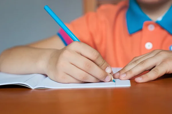 Boy Student — Stock Photo, Image