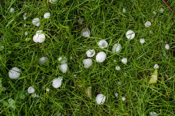 Viva la tormenta —  Fotos de Stock