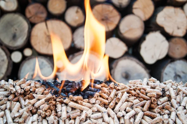 Pellets-Biomass — Stock Photo, Image