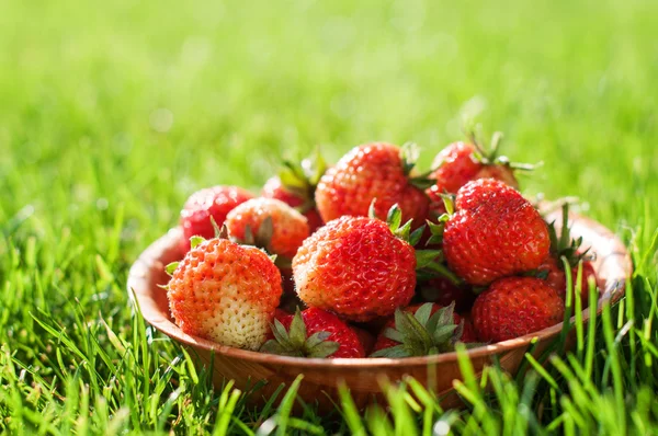 Fragola — Foto Stock