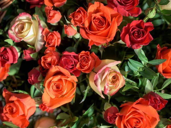 Bouquet Red Orange Yellow Roses Composition Multi Colored Flowers Background — Stock Photo, Image
