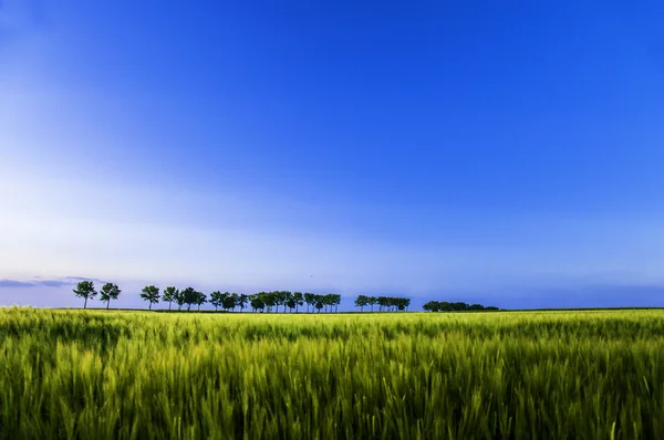 Landskap – stockfoto