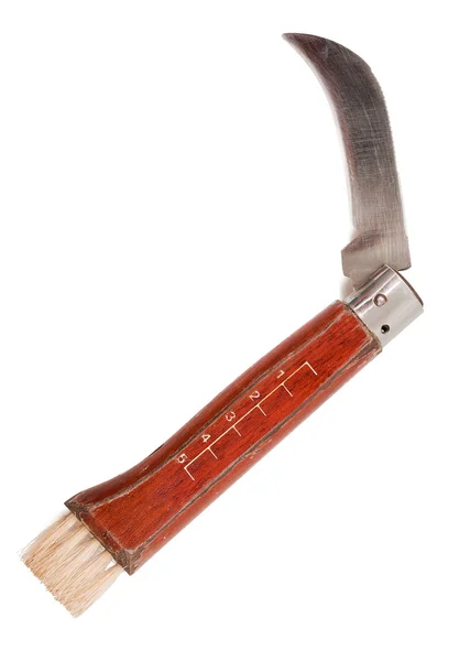 Svamp kniv — Stockfoto