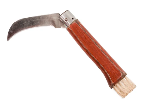 Cuchillo hongo — Foto de Stock