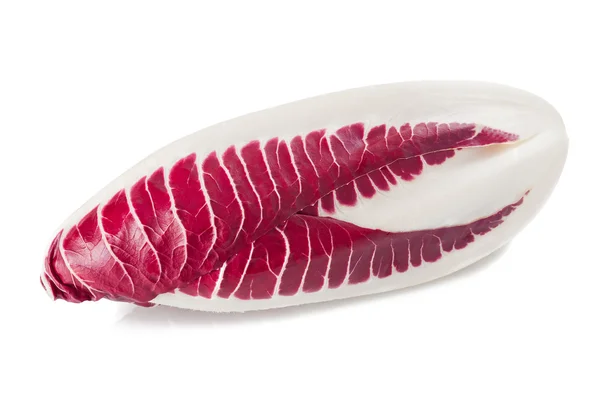 Radicchio vermelho — Fotografia de Stock