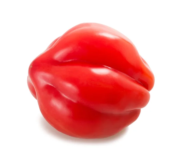 Tomaten — Stockfoto