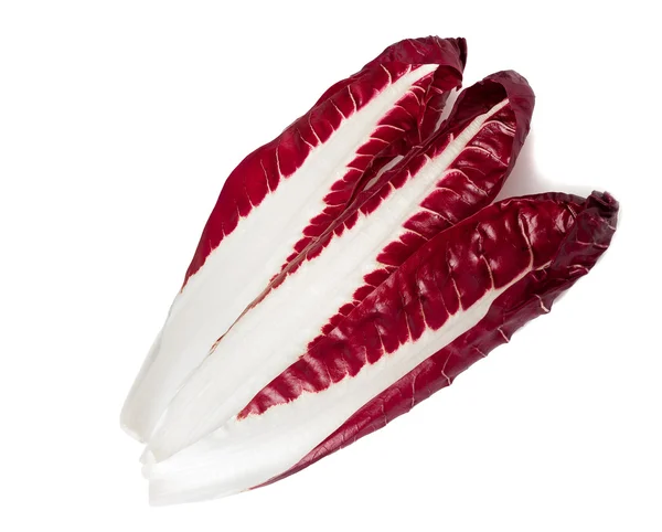 Red chicory — Stock Photo, Image