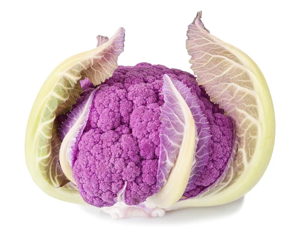 紫色花椰菜 — 图库照片