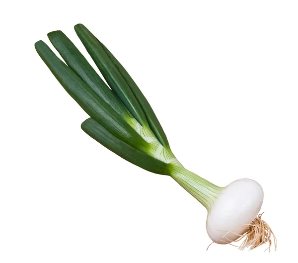 Scallion — Stock Photo, Image