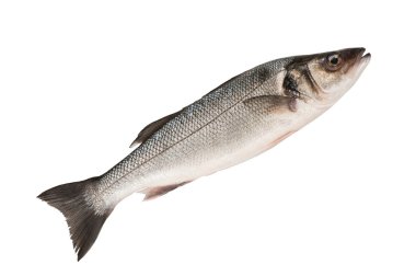 levrek