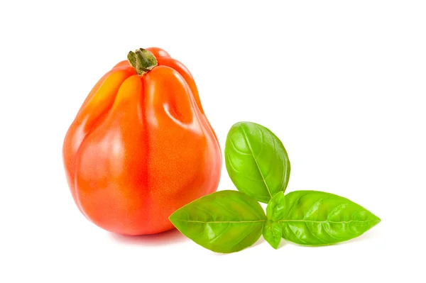 Tomaten und Basilikum — Stockfoto