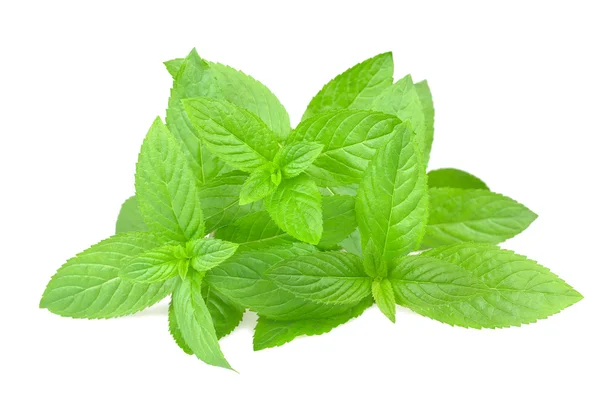 Mint — Stock Photo, Image