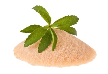 Stevia yaprağı