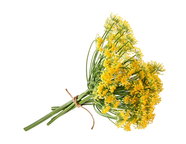 yabani Rezene Çiçekler