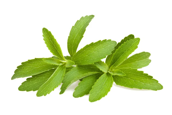 Stevia