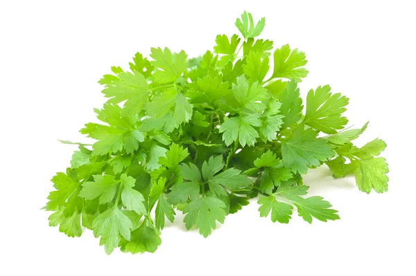 Parsley — Stock Photo, Image