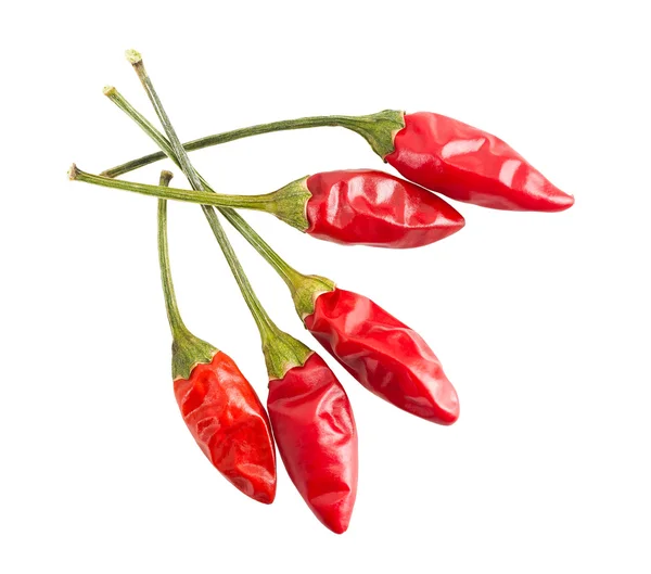 Chilli papričky — Stock fotografie