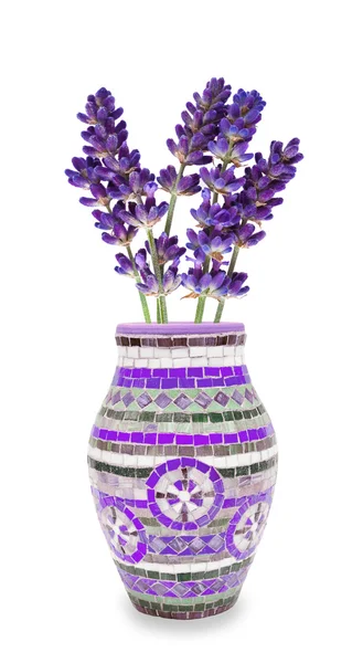 Vaso di lavanda — Foto Stock