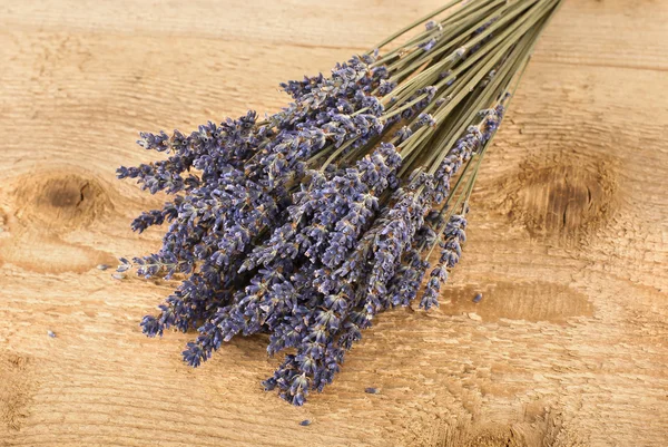 Dried lavender flowers — Stock Photo, Image