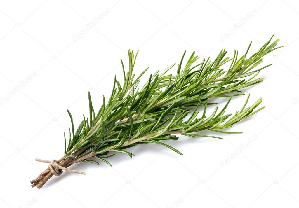 Rosemary branch